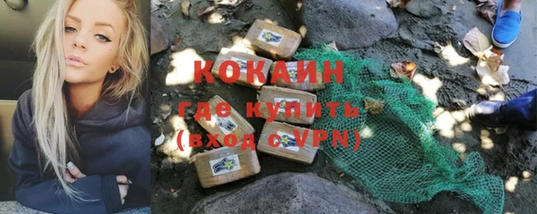 хмурый Бородино