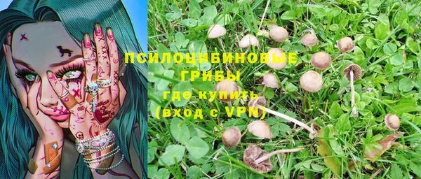 хмурый Бородино