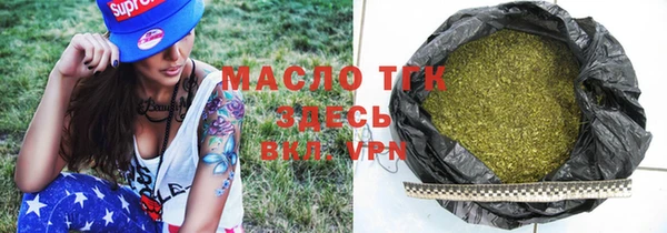 хмурый Бородино