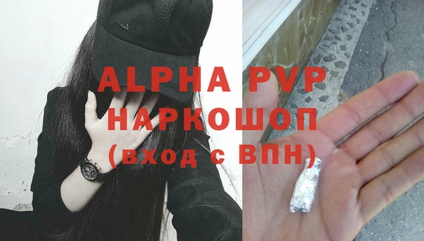 хмурый Бородино
