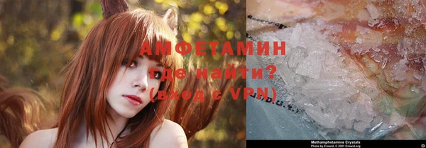 хмурый Бородино