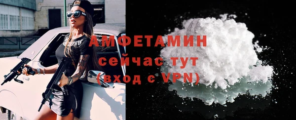 хмурый Бородино