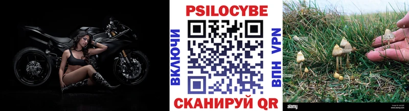 Псилоцибиновые грибы ЛСД  Мончегорск 